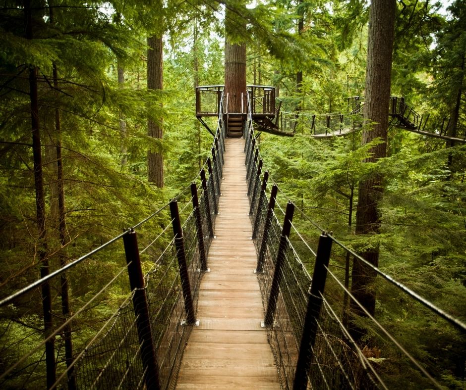 vancouver travel tips - capilano suspension bridge